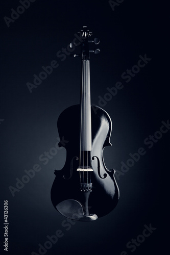Elegant black violin