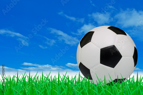 The soccer ball on the green grass field