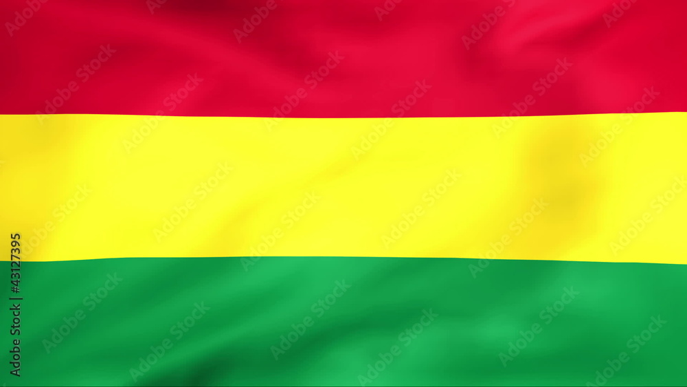 Developing the flag of Bolivia Developing the flag of Bolivia
