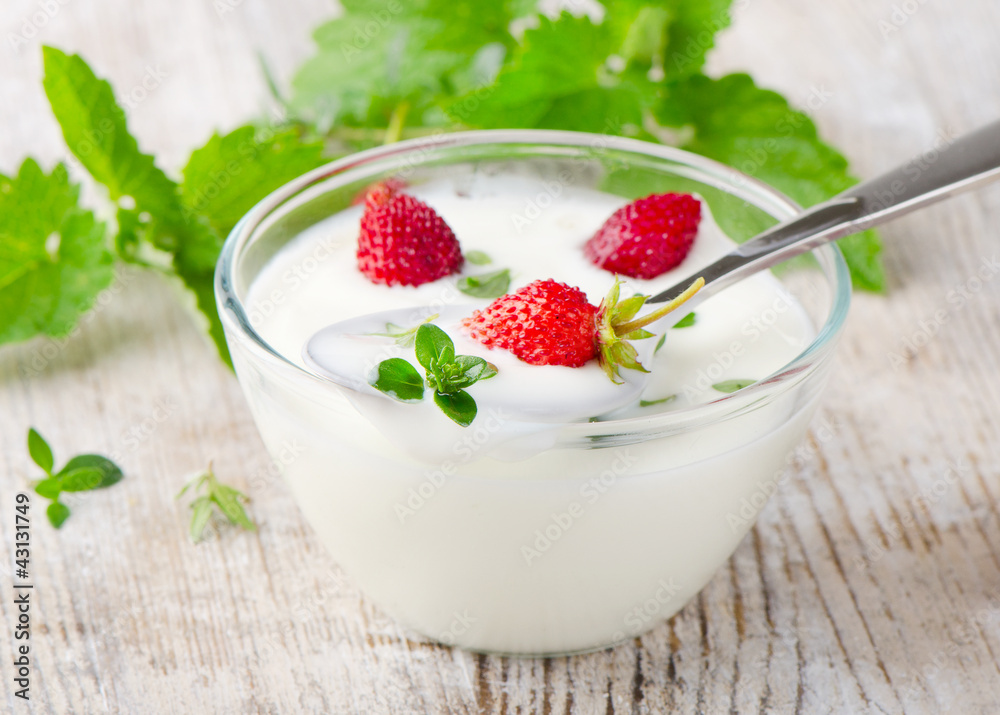 Fresh yogurt Fresh yogurt