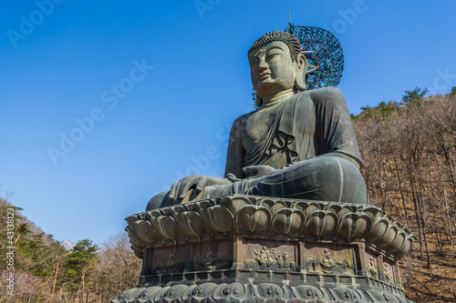 Giant bronze buddha image