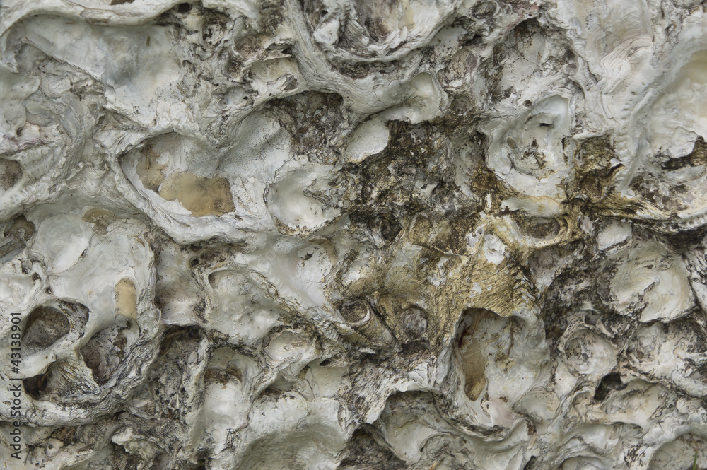 stone background stone background