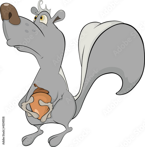 Skunk and an acorn. Cartoon