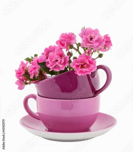 Coffee Cups with Pink Roses