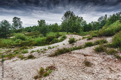 wahnerheide in cologne photo