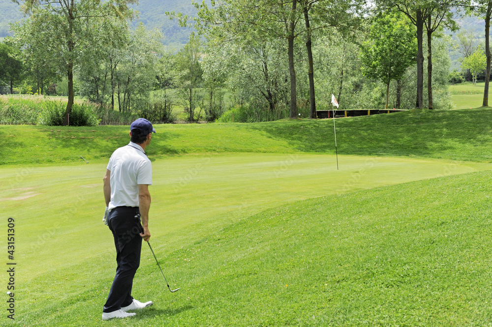 Fototapeta premium sul green