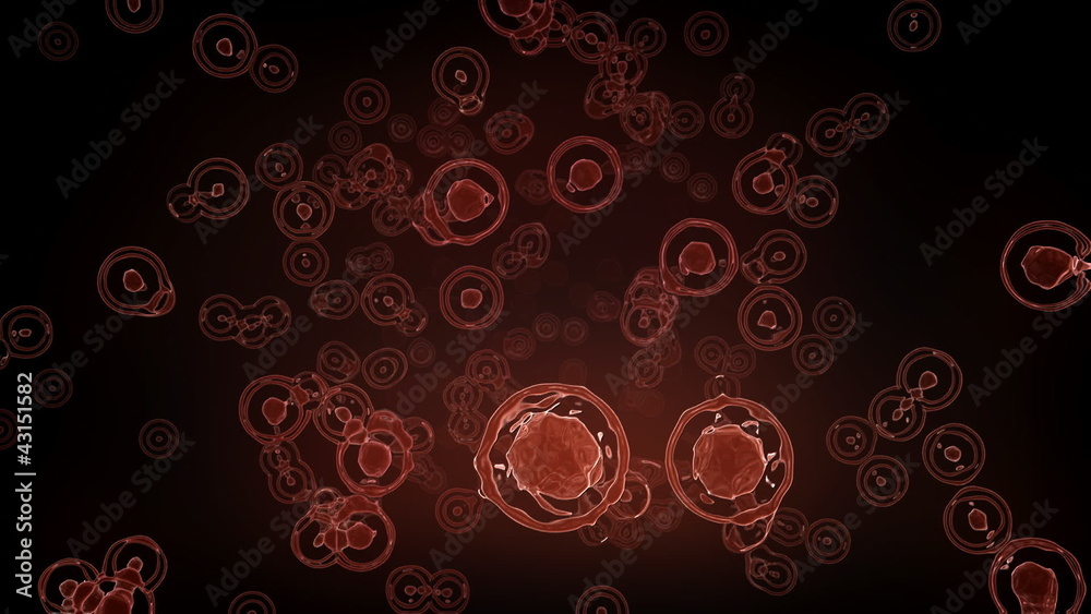 Going Through Red Molecular Meta Particles