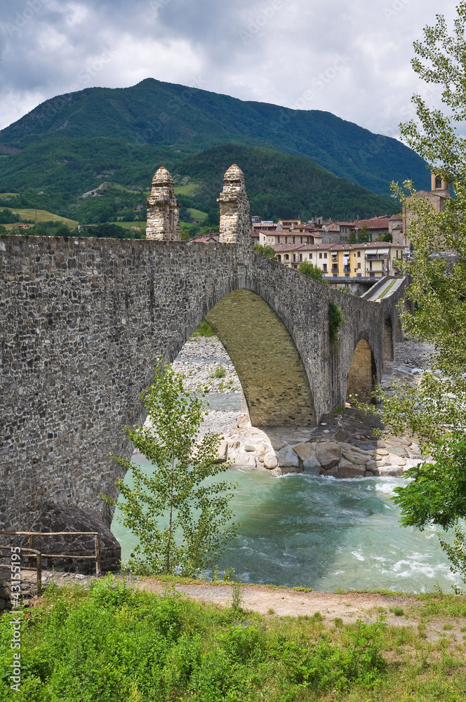 Fototapeta premium Hunchback Bridge. Bobbio. Emilia-Romagna. Italy.