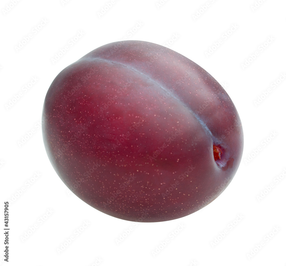 Fototapeta premium plum on a white background