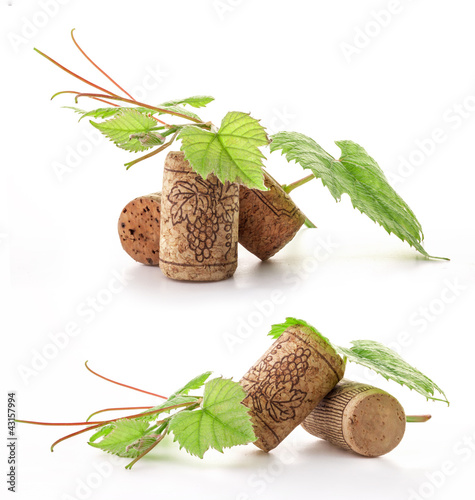 Wine cork with grape illustration and green leaves, on white