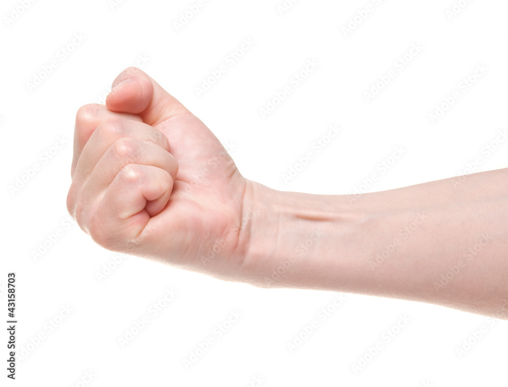 Fist. Gesture of the hand on white background Fist. Gesture of the hand on white background