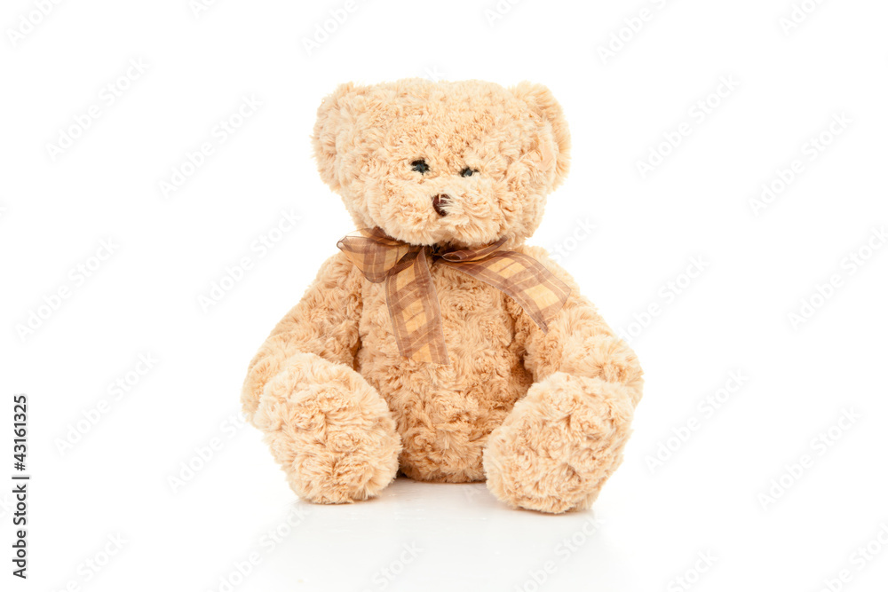 Obraz premium Teddy bear