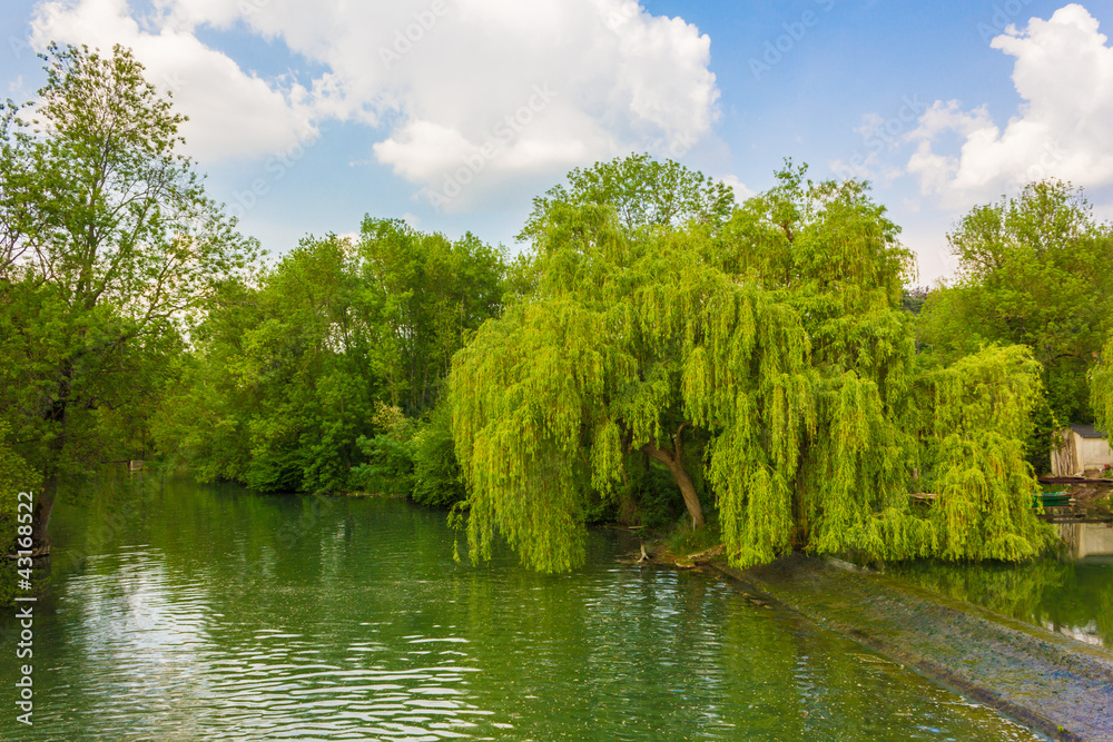 L'Indre à Artannes sur Indre