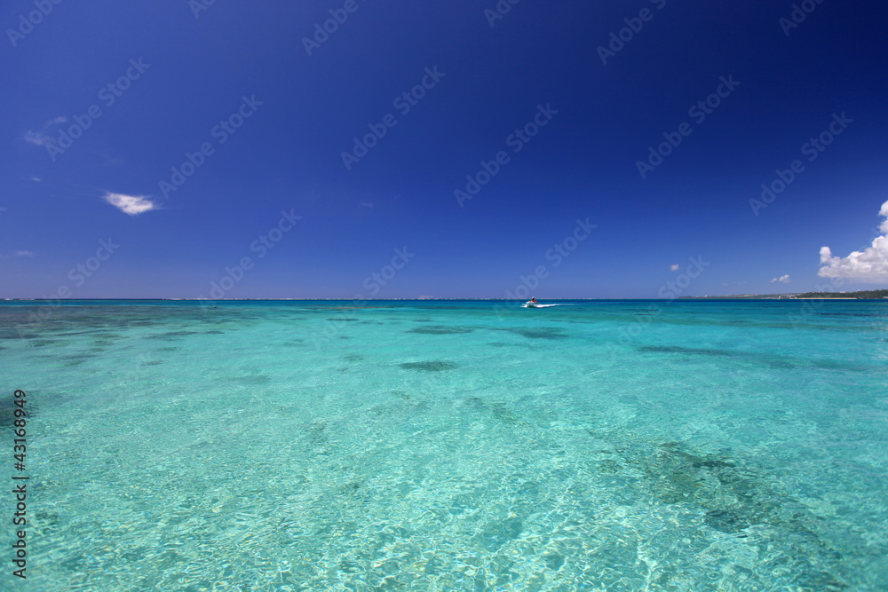 透明なサンゴの海と夏空