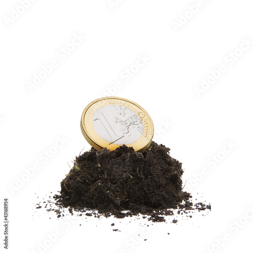 Euro in Erde