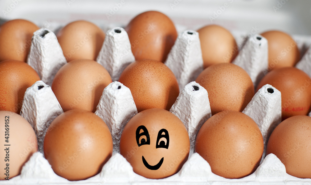 carton d'oeufs frais souriant carton d'oeufs frais souriant