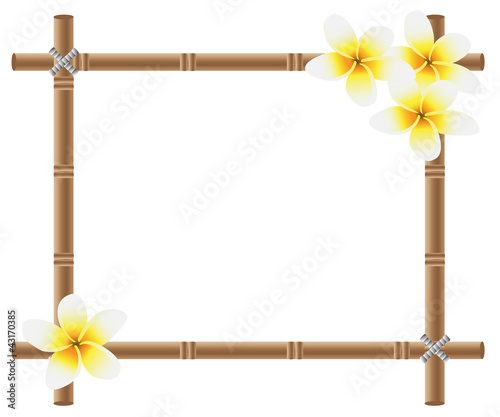 bamboo frame