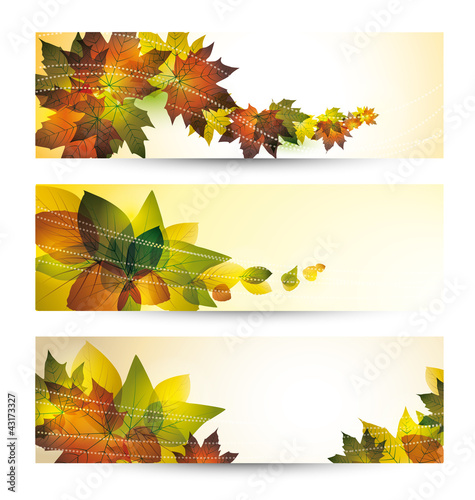 autumn leaves