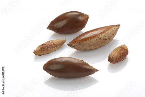 seeds of Sapote on white,a close up photo