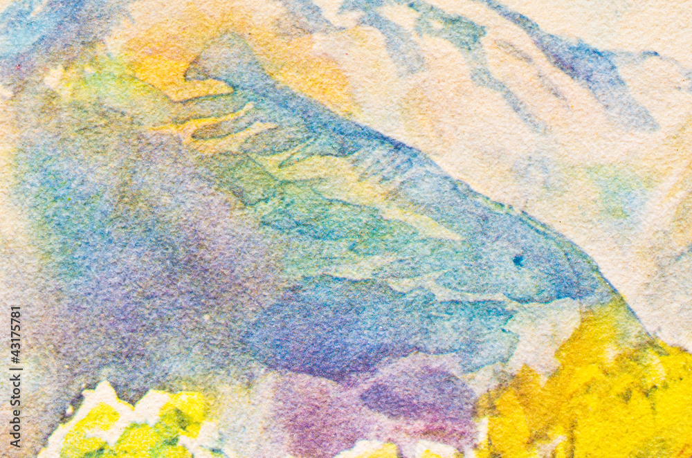 Colorful paints texture Colorful paints texture