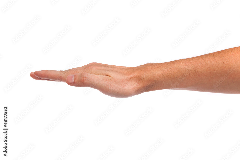 Open palm hand gesture of male hand Open palm hand gesture of male hand