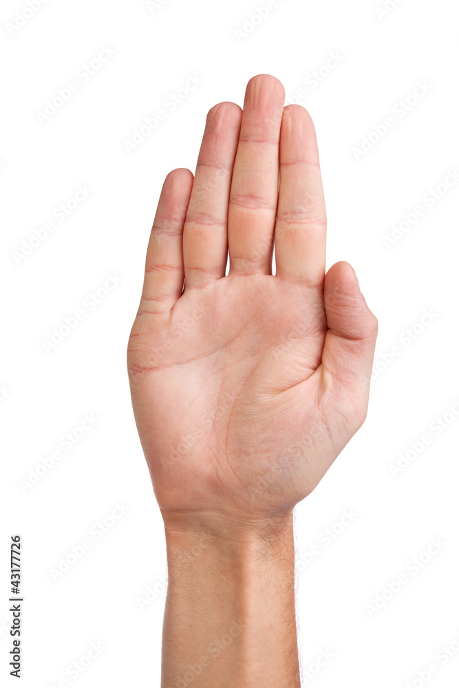 Male palm hand gesture, isolated on white Male palm hand gesture, isolated on white
