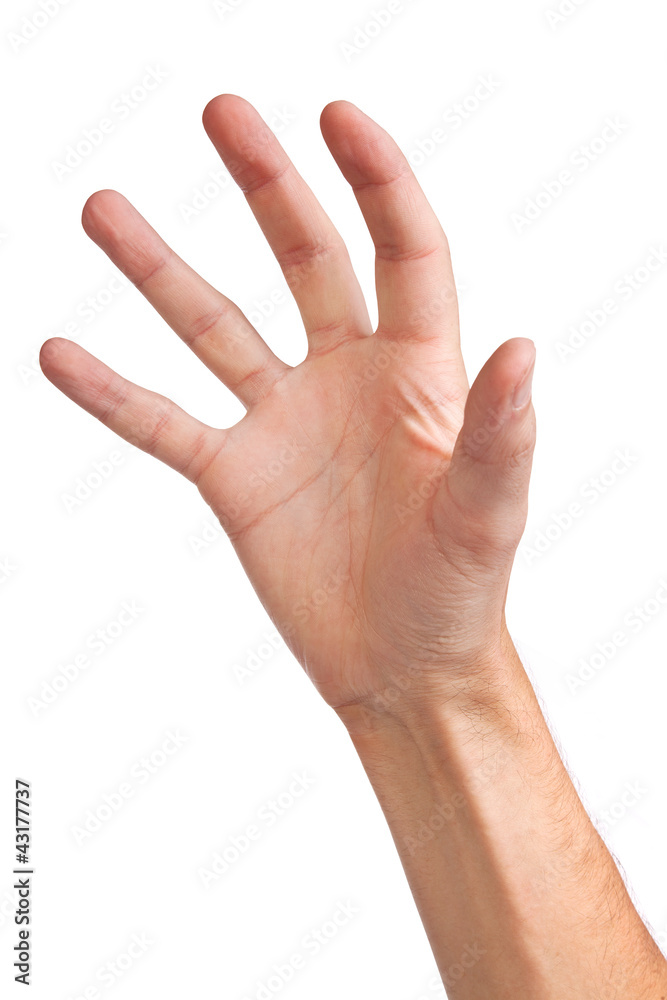 Male hand reaching for something on white Male hand reaching for something on white