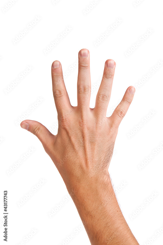 Hand gesture number five closeup isolated on white Hand gesture number five closeup isolated on white