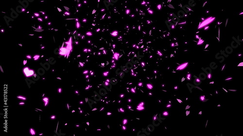 HD Looping Cherry Blossoms Animation