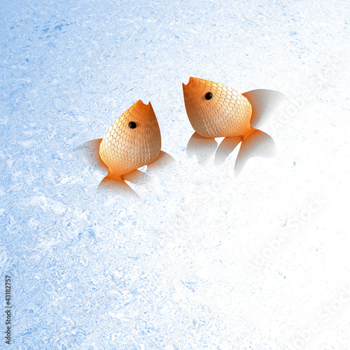Gold fish for adv or others purpose