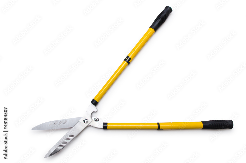 Garden scissors isolated on white Garden scissors isolated on white
