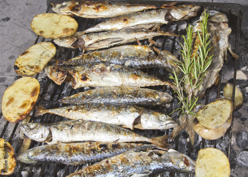 Fresh Mediterranean mackerel fishes on BBQ
