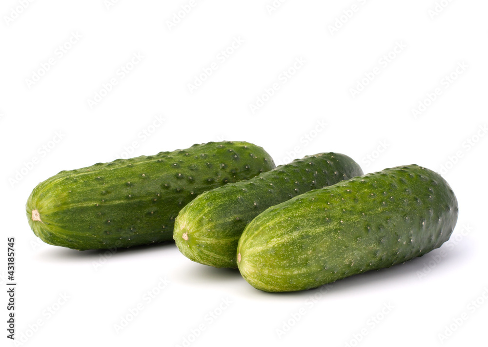 Cucumber vegetable Cucumber vegetable