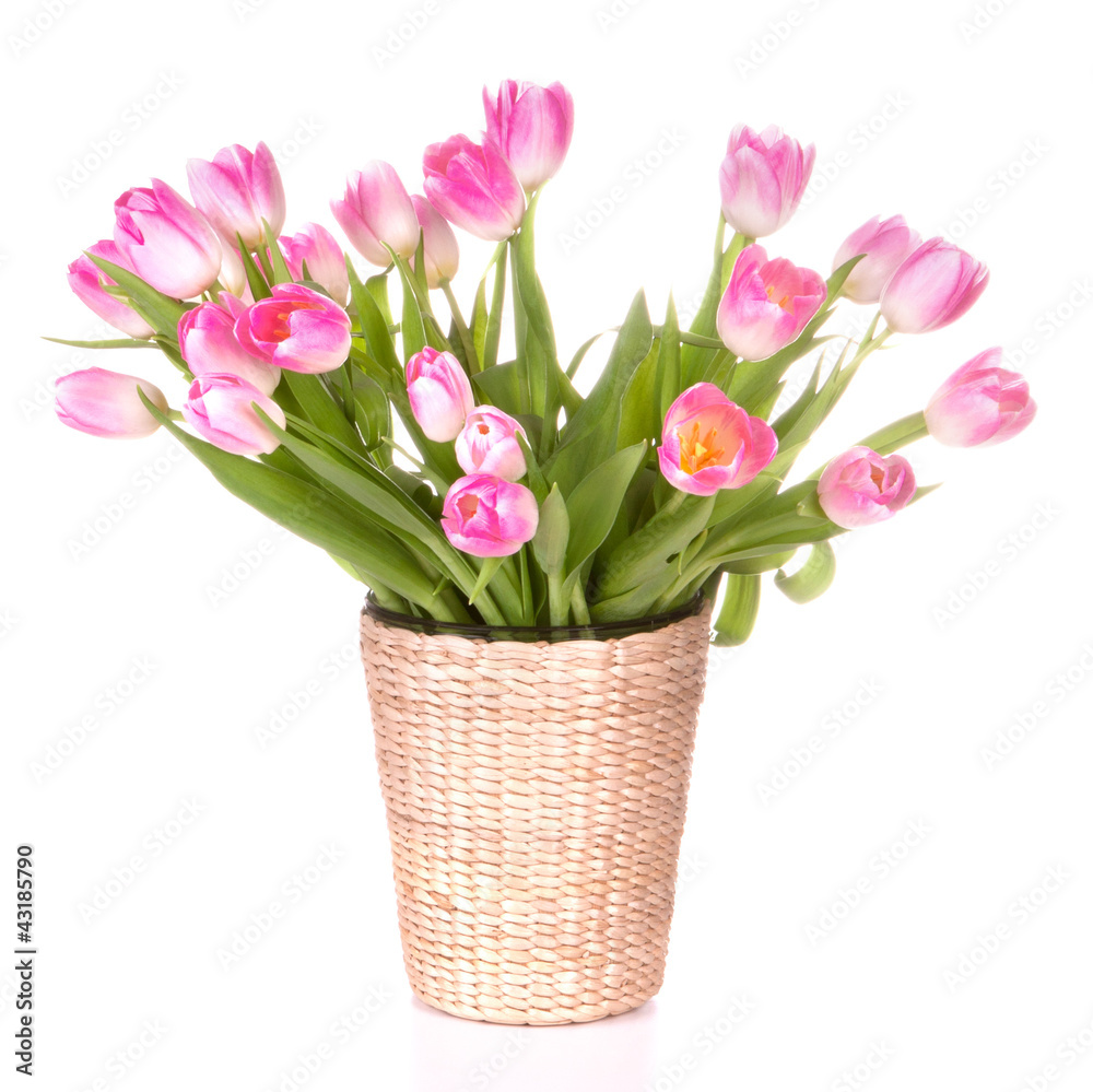 Pink tulips bouquet in vase isolated on white background Pink tulips bouquet in vase isolated on white background