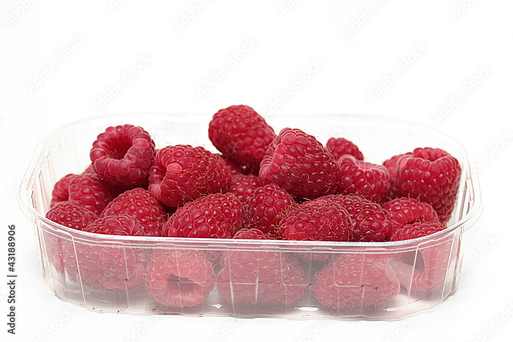 fruits fruits