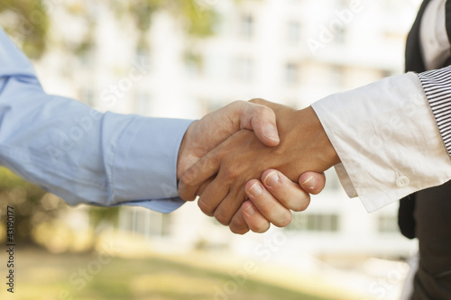 Businesspeople Handshaking
