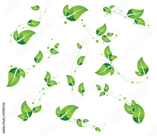 vegetative elements set