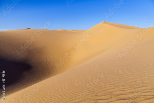 sand dune in sunrise in the desert © travelview