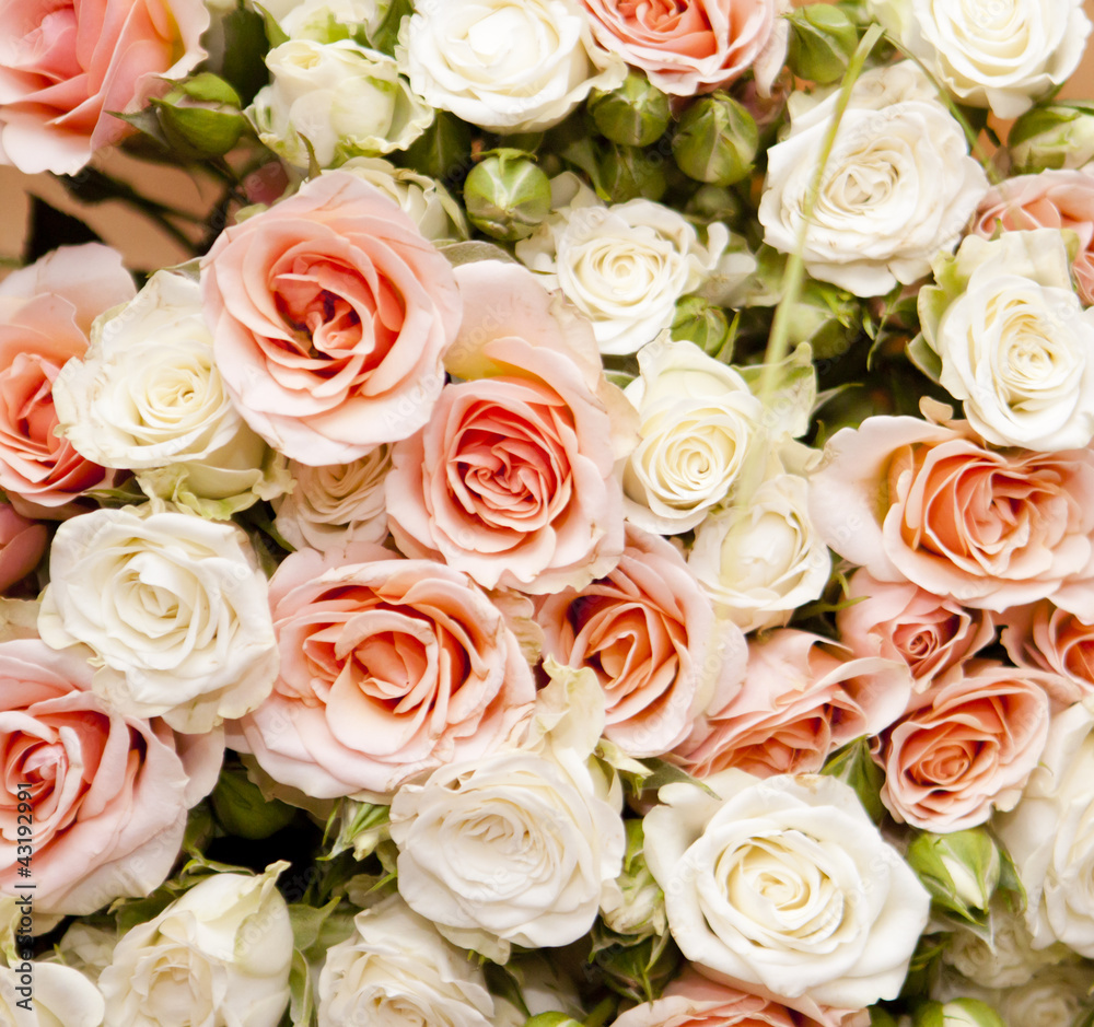 Floral background for your design, roses