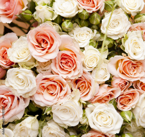 Floral background for your design  roses