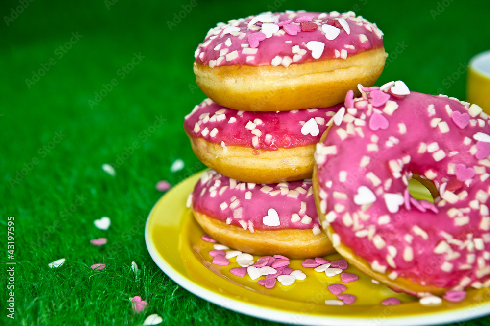 Rosa Donuts zum Picknick Rosa Donuts zum Picknick