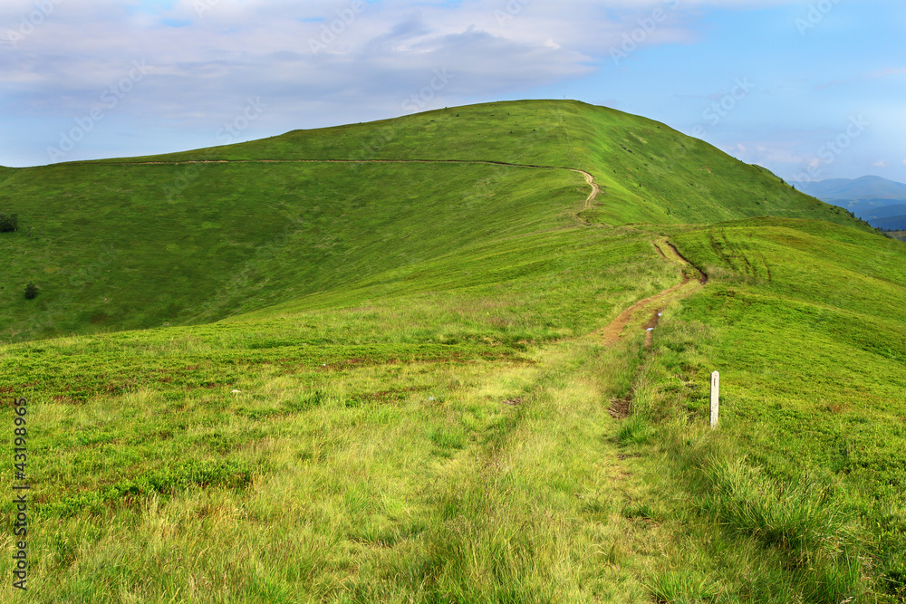 Fototapeta premium Hill