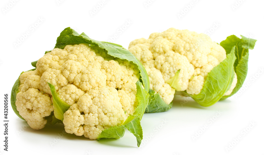 Fresh cauliflowers isolated on white Fresh cauliflowers isolated on white