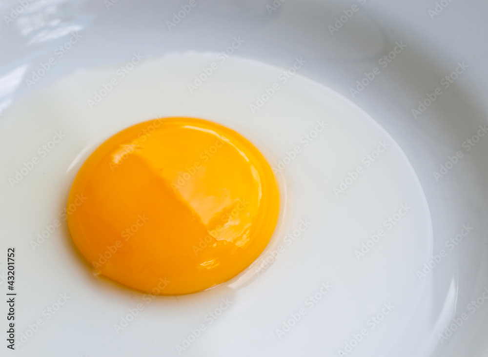 Egg yolk .