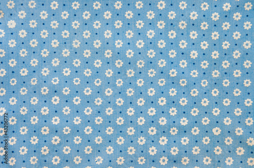 Cottonwood Close Up Antique Floral Fabric