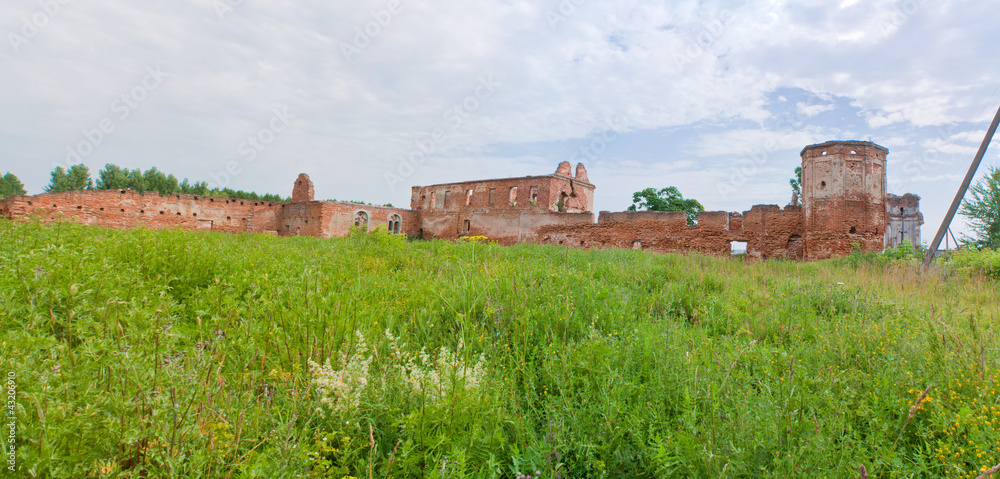 Ruins one of the largest Carthusian monasteries in Europe Ruins one of the largest Carthusian monasteries in Europe