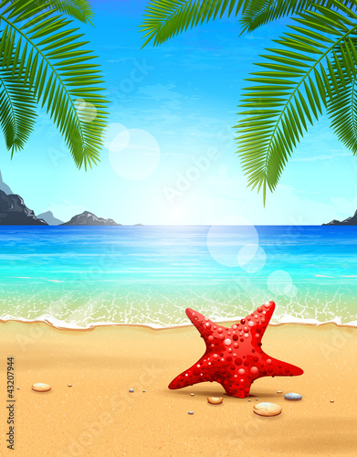 Seascape vector illustration. Paradise beach.