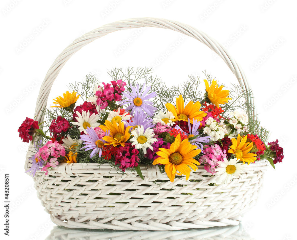 beautiful bouquet of bright  wildflowers in basket, isolated