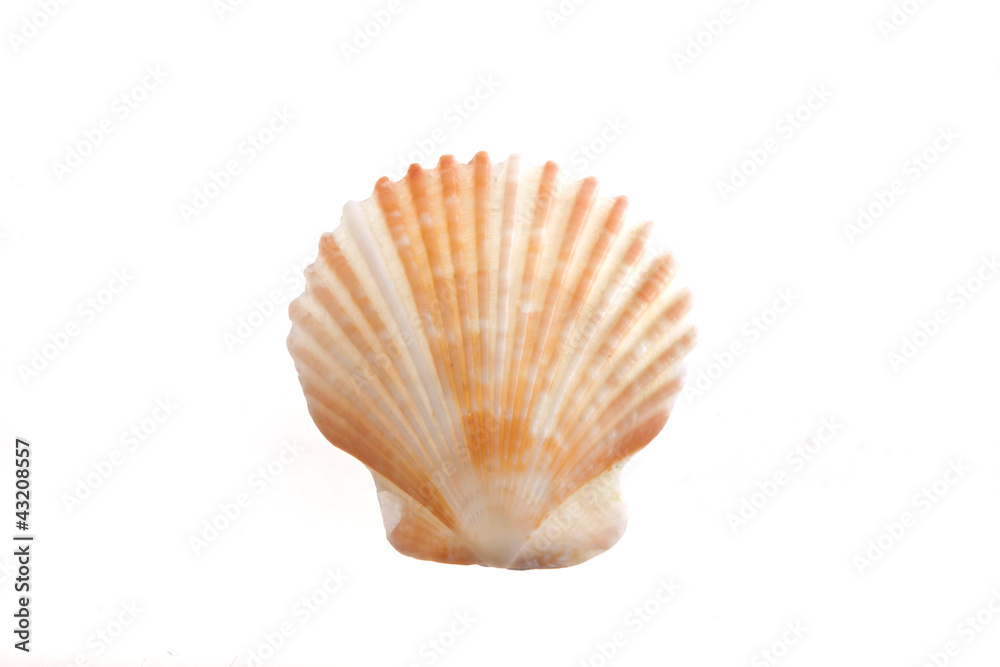 shell120515-e shell120515-e