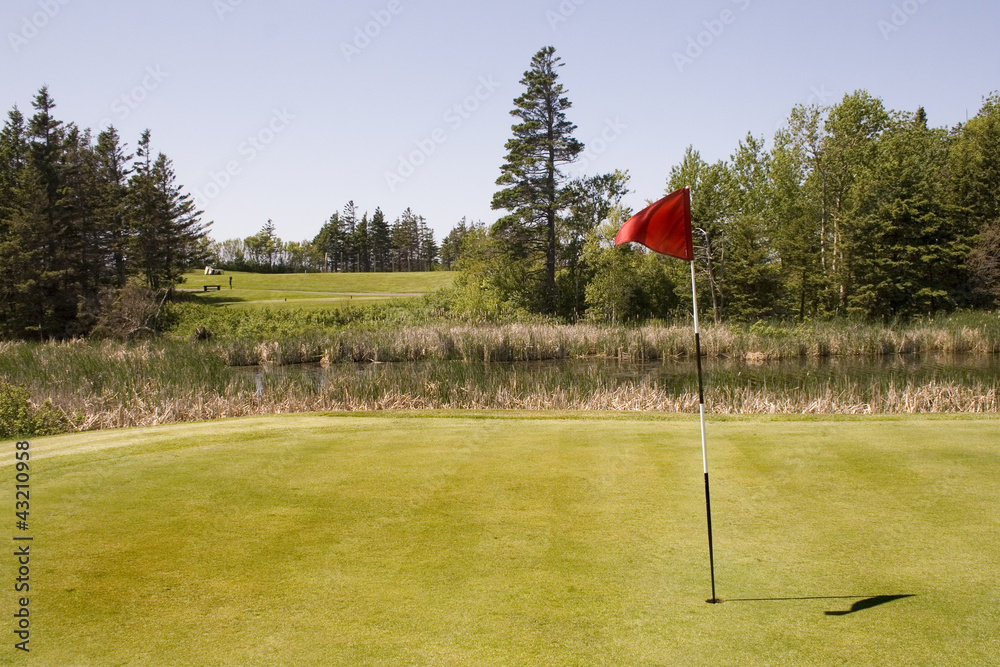 Obraz premium golf green